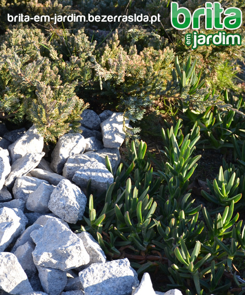 Aplica&ccedil;&atilde;o de Brita em Jardim - Pode tornar o seu jardim mais bonito e natural se usar brita de pedra, juntamente com outros recursos naturais? Se utilizar diferentes tipos de pedras e granulometrias, pode criar diferentes zonas no seu jardim?