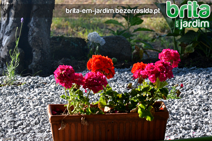 Aplica&ccedil;&atilde;o de Brita em Jardim - Pode tornar o seu jardim mais bonito e natural se usar brita de pedra, juntamente com outros recursos naturais? Se utilizar diferentes tipos de pedras e granulometrias, pode criar diferentes zonas no seu jardim?